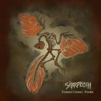LP Sharptooth: Transitional Forms CLR | LTD