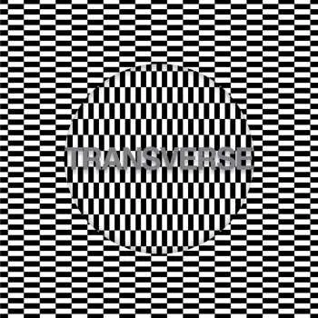 CD Carter Tutti Void: Transverse