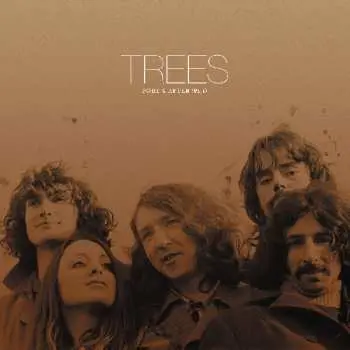 2LP Trees: Trees