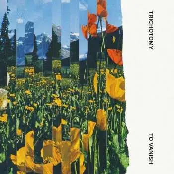 CD Trichotomy: To Vanish
