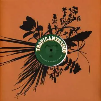 LP Tropicantesimo: Session 3