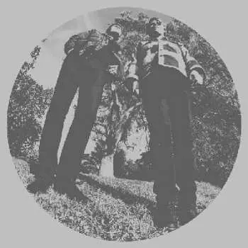LP Ty Segall: Hair