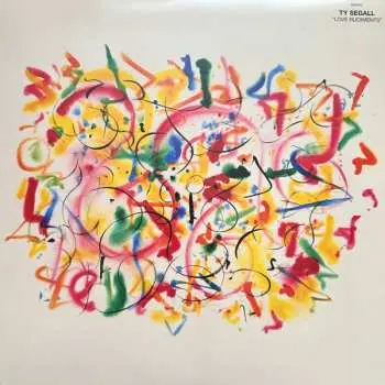 LP Ty Segall: Love Rudiments
