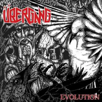 LP Übergang: Evolution