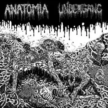 LP Undergang: Split Lp