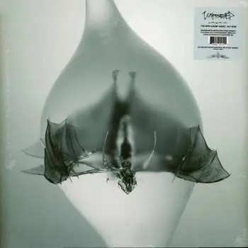 2LP Unprocessed: Angel CLR | DLX