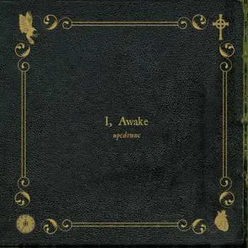 2LP Up-C Down-C Left-C Right-C ABC + Start: I, Awake LTD | NUM