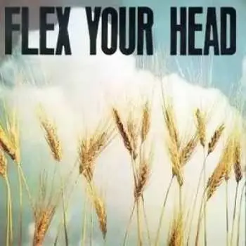 LP Various: Flex Your Head