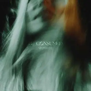 CD Vagrants: Be Consumed