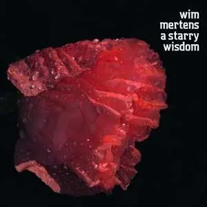CD Various: A Starry Wisdom