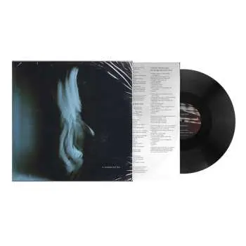 LP Tom Odell: A Wonderful Life