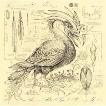 CD Various: Accidental Ornithology