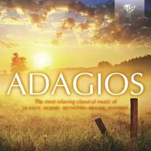 2CD Various: Adagios