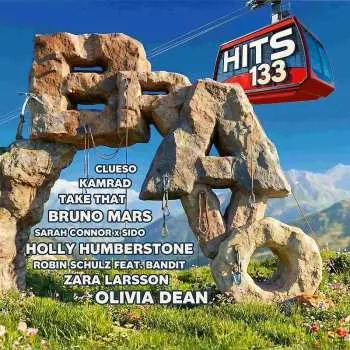 2CD Various: Bravo Hits 133