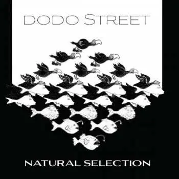 CD Various: Dodo Street