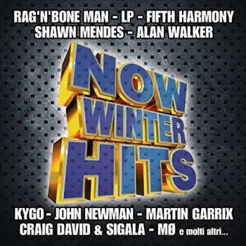 CD Various: Now Winter Hits