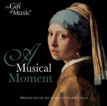 CD Various: Musical Moment / Various