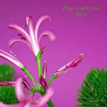 LP/CD Various: Pop Ambient 2014