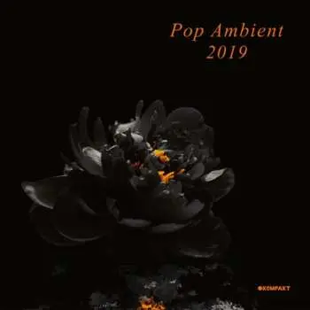 2LP Various: Pop Ambient 2019