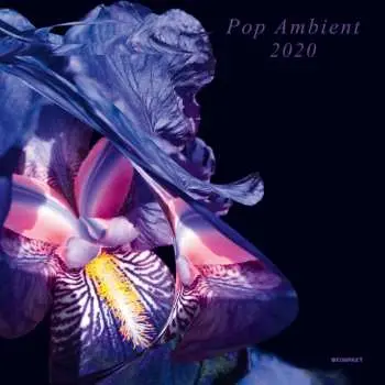 2LP Various: Pop Ambient 2020