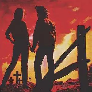 LP Various: Troubled Troubadours LTD | DLX | CLR