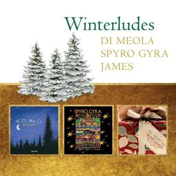 3CD Various: Winterludes