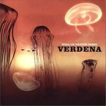 2LP Verdena: Solo Un Grande Sasso
