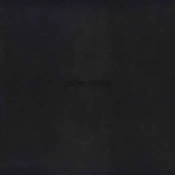 LP Vince Staples: Dark Times