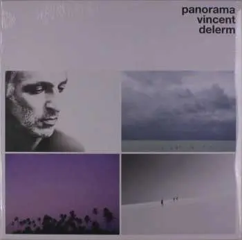 LP Vincent Delerm: Panorama