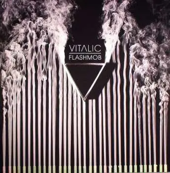 2LP Vitalic: Flashmob