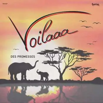 2LP Voilaaa: Des Promesses