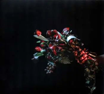 CD Vosh: Vessel LTD