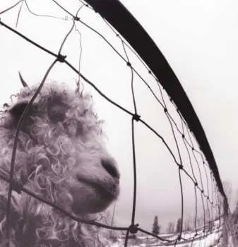 LP Pearl Jam: Vs.