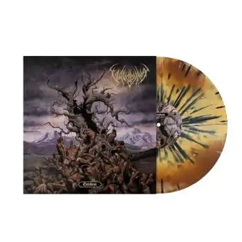 LP Vulvodynia: Entabeni Ltd.