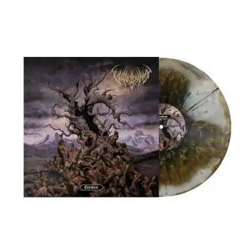 LP Vulvodynia: Entabeni Ltd.