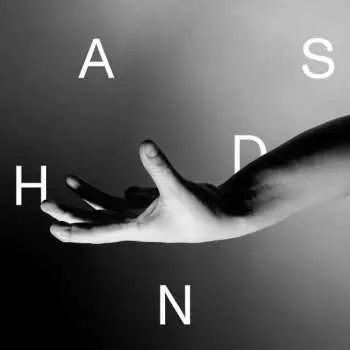 CD Wallis Bird: Hands