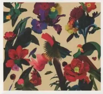 CD Washed Out: Paracosm