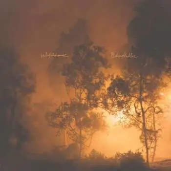 LP Mandolin Orange: Blindfaller CLR | LTD