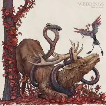 LP Weddings: Book Of Spells