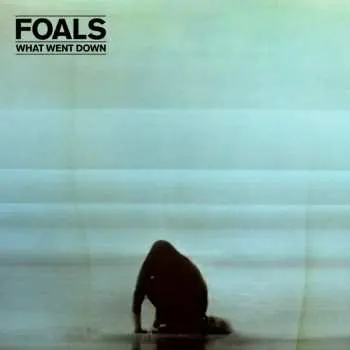 LP Foals: What Went Down
