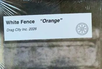 LP White Fence: Orange