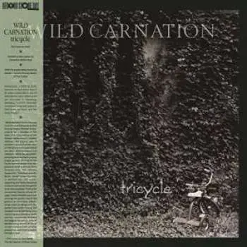 LP Wild Carnation: Tricycle CLR | LTD
