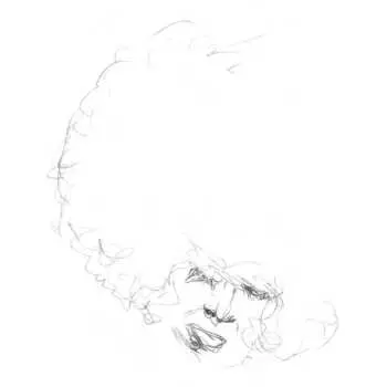 LP Will Long: Sallow / Pine