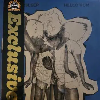 2LP Wintersleep: Hello Hum CLR | LTD