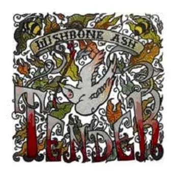 CD Wishbone Ash: Tender