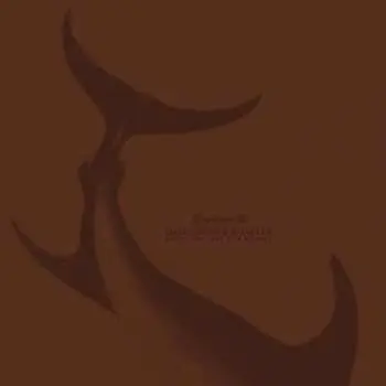CD Witxes: Split