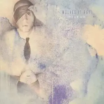 CD Wolves At Bay: Only A Mirror DIGI