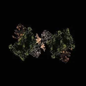 LP Woodsman: Woodsman LTD | NUM