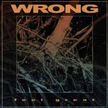 CD Wrong: Feel Great
