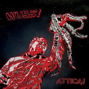 CD Wussy: Attica!